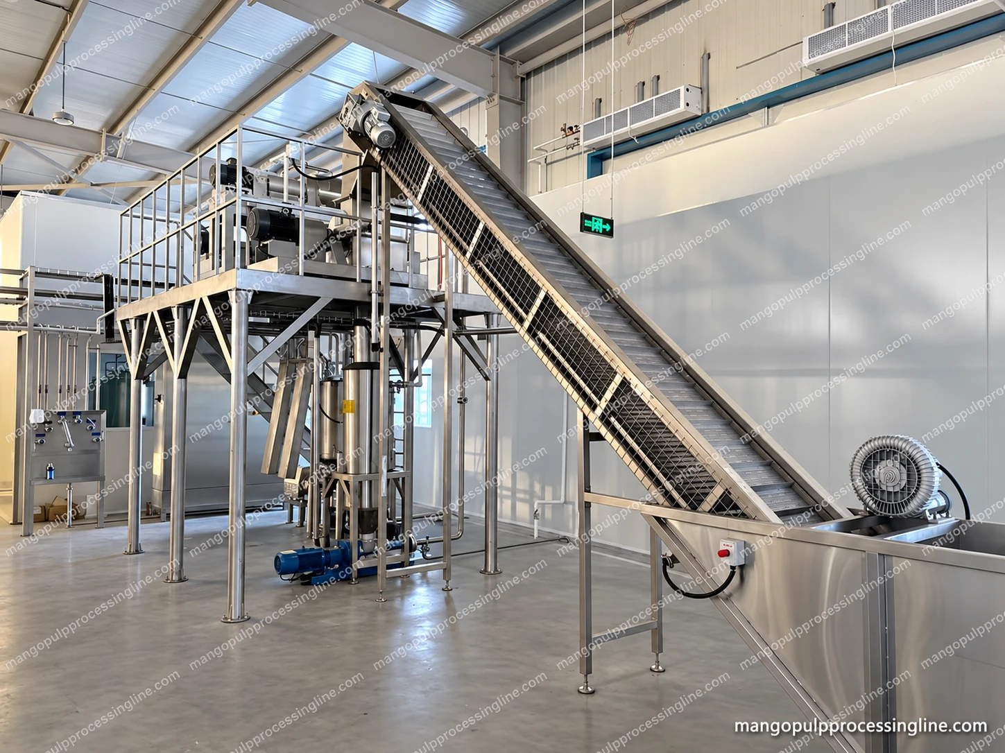 Inclined cleated conveyor rising from a wash tank to a raised processing platform